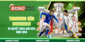 Tracking Kèo Bongdalu - Bí Quyết Theo Dõi Kèo Hiệu Quả