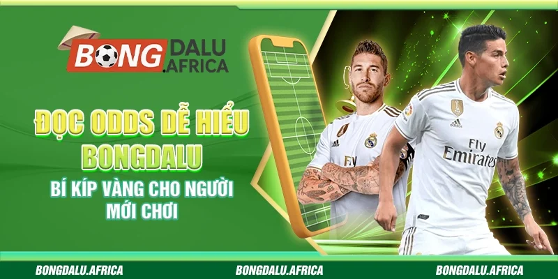 Đọc Odds Dễ Hiểu Bongdalu – Bí Kíp Vàng Cho Người Mới Chơi