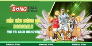 Bắt Kèo Bóng Đá Bongdalu - Một Vài Cách Thắng Lớn