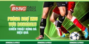 Phòng Ngự Khu Vực Bongdalu – Chiến Thuật Bóng Đá Hiệu Quả