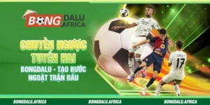 Chuyền Ngược Tuyến Hai Bongdalu - Tạo Bước Ngoặt Trận Đấu