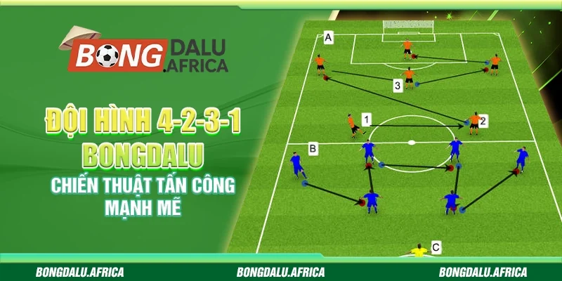 Đội Hình 4-2-3-1 Bongdalu - Chiến Thuật Tấn Công Mạnh Mẽ