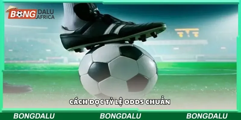 Cách đọc tỷ lệ odds chuẩn